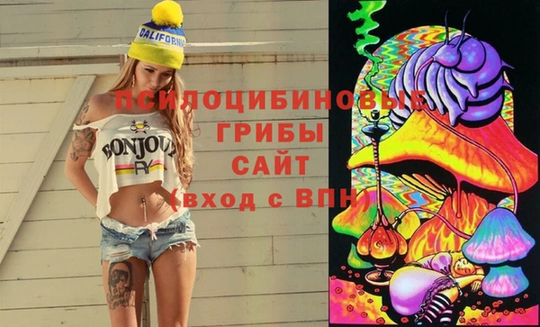 сатива Бугульма