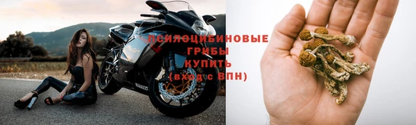 сатива Бугульма