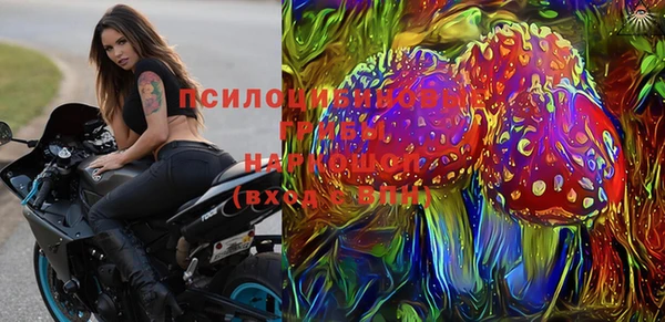 сатива Бугульма
